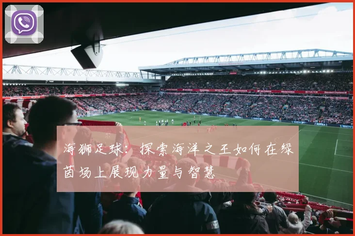 海狮足球:探索海洋之王如何在绿茵场上展现力量与智慧