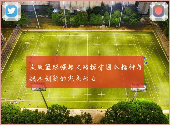 灰狼篮球崛起之路探索团队精神与战术创新的完美结合