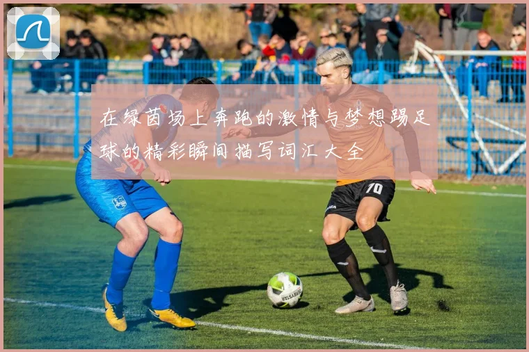 在绿茵场上奔跑的激情与梦想踢足球的精彩瞬间描写词汇大全