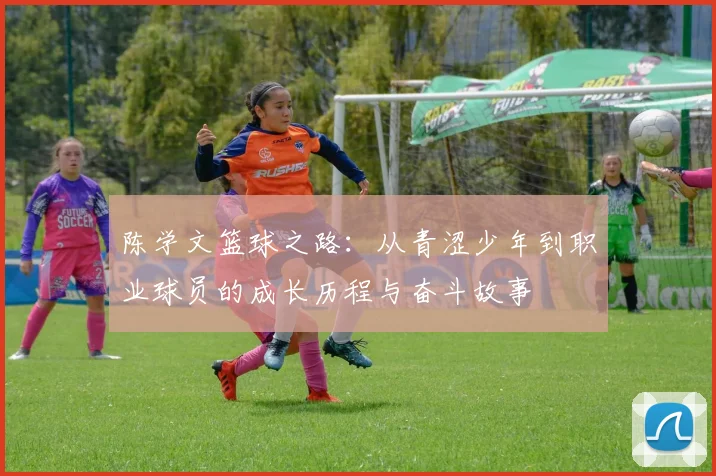 陈学文篮球之路：从青涩少年到职业球员的成长历程与奋斗故事